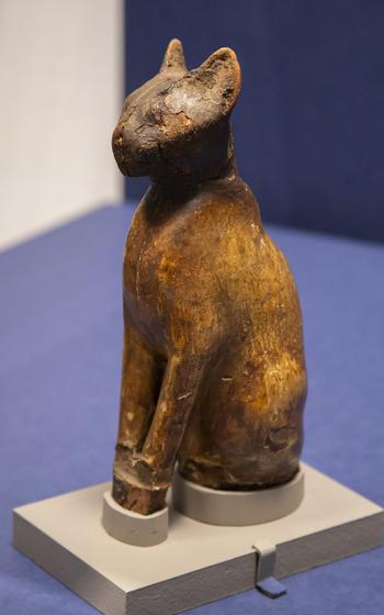 Cat Mummy
